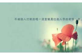 河东市侦探公司